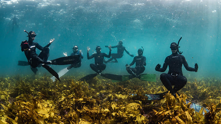 Learn to Freedive, 2 Day Course - Central Coast