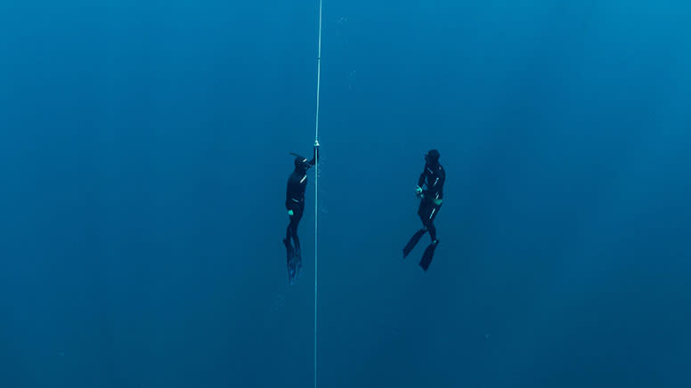 Learn to Freedive, 2 Day Course - Central Coast