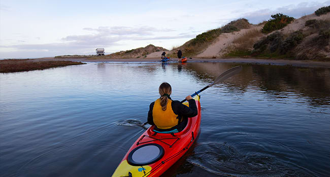 Day 3: sunset kayaking, Hindmarsh Island