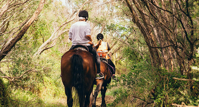 Horse riding