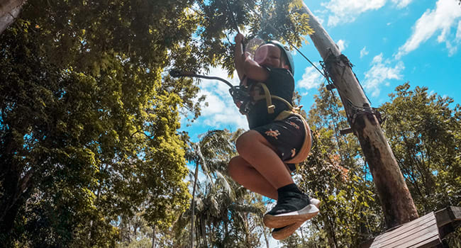 Flying foxes and high ropes Flying foxes and high ropes