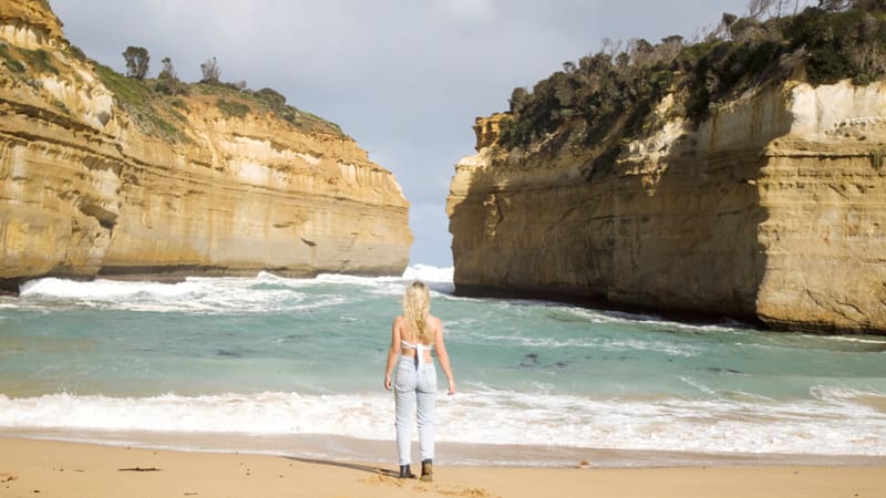 12 Apostles Otways And Great Ocean Road Tour With Hike Departs Melbourne Adrenaline 6361