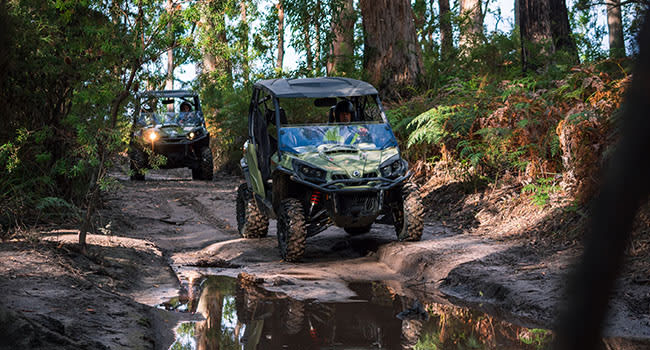 Under $200- ATV Tour, Tasman National Park Under $200- ATV Tour, Tasman National Park