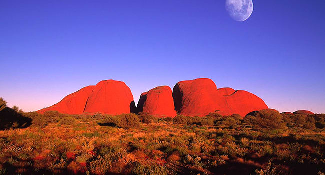 Under $100- Uluru–Kata Tjuta National Park Tour Under $100- Uluru–Kata Tjuta National Park Tour