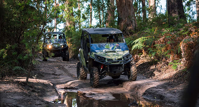 ATV 4x4 tour, Tasmanian National Park