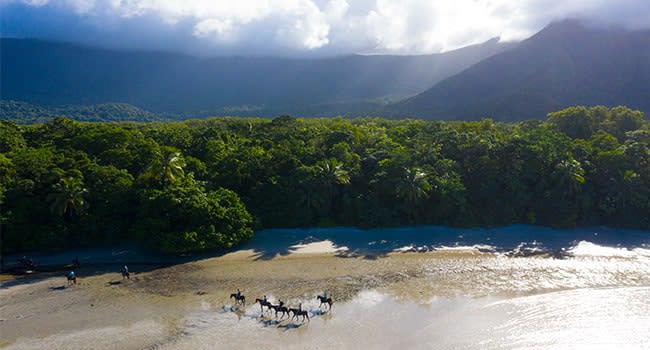 Day 2: horse trail ride of Daintree's Cape Tribulation