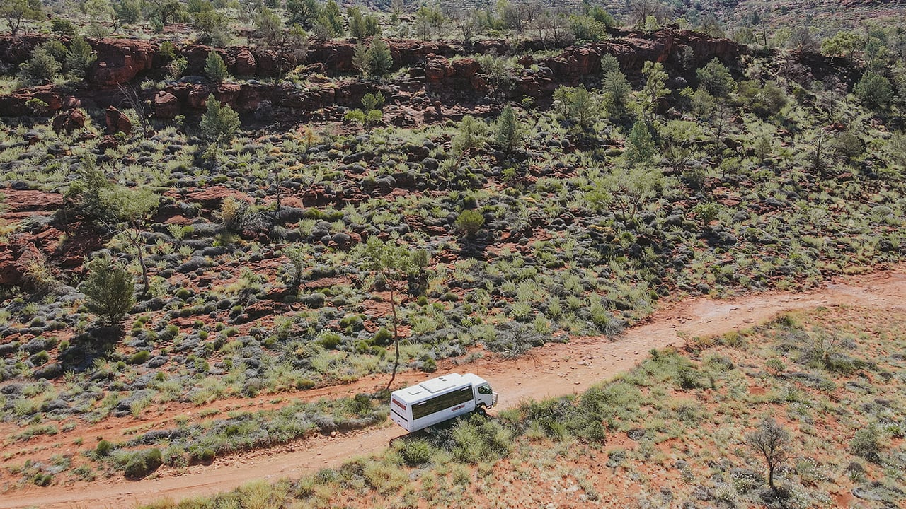 The Adventure Series: palm Valley 4WD tour