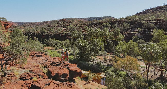 Vibrant greens against glowing red gorges