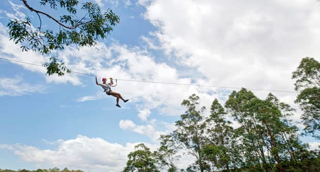 Treetop zipline adventure, Southern Highlands