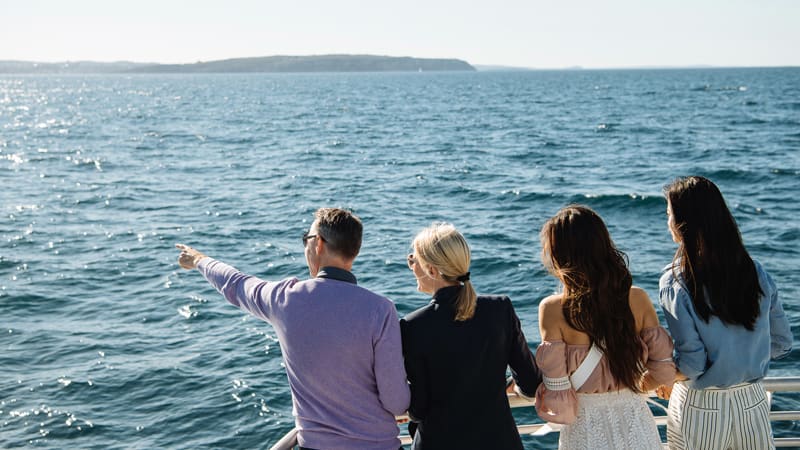 Whale Watching Cruise, 2.5 Hours - Circular Quay, Sydney