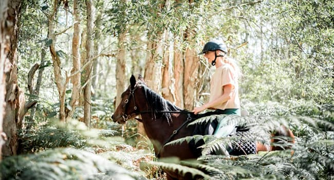 Under $100 - Horse riding, Byron Bay