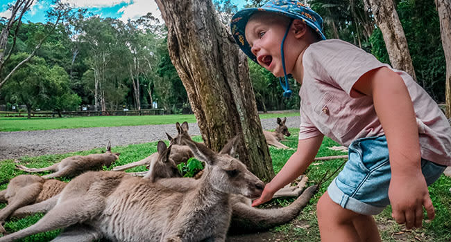 Under $100 - Currumbin Wildlife Sanctuary, the Gold Coast