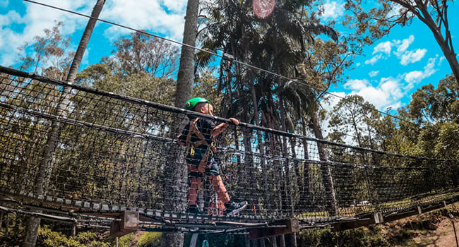 Under $50 - Tiny tots rope adventure, Mt Tamborine