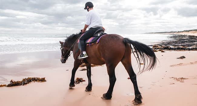 Horse riding, Mornington Peninsula