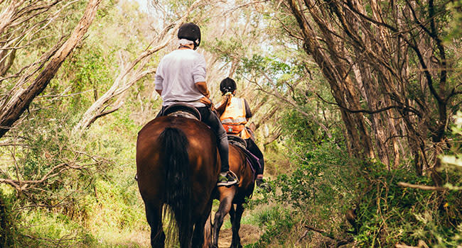 Horse trail ride, Mornington Peninsula Horse trail ride, Mornington Peninsula