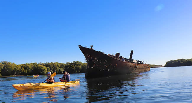 Dolphin sanctuary kayaking, Adelaide