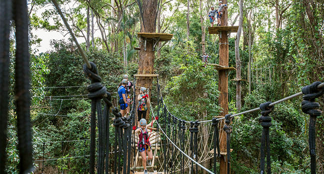 Flying fox adventure, Sunshine Coast