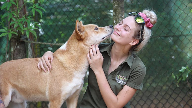 Koala and Wildlife Park Entry - Kuranda