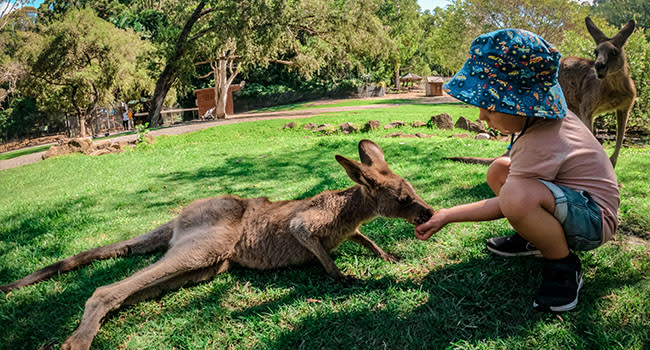 Even more great things to do as a family this Father’s Day Even more great things to do as a family this Father’s Day