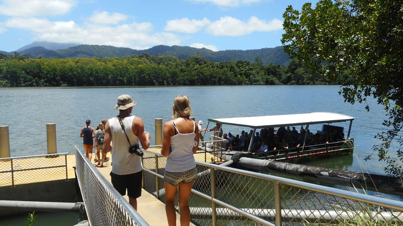 cairns day trip cape tribulation