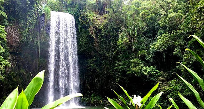 Waterfalls Full Day Adventure, Cairns Waterfalls Full Day Adventure, Cairns