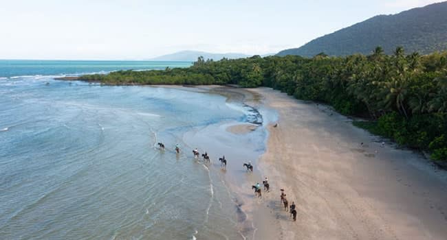 Beach Horse Riding Tour, Cape Tribulation