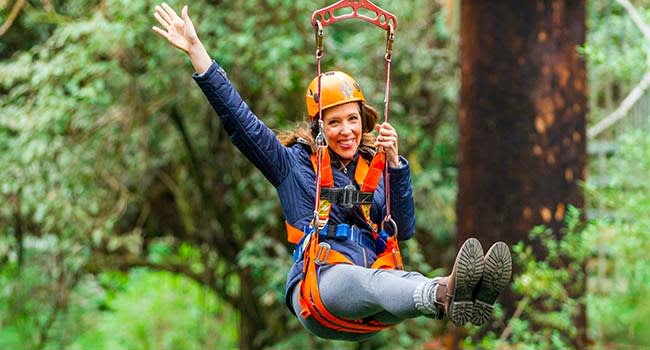 Otway Fly Treetop Adventure