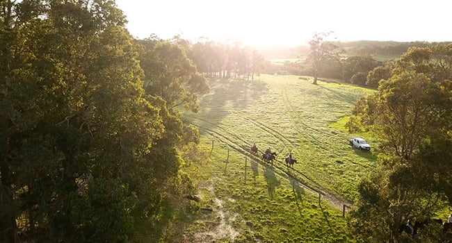 Twilight Horse Ride, Margaret River