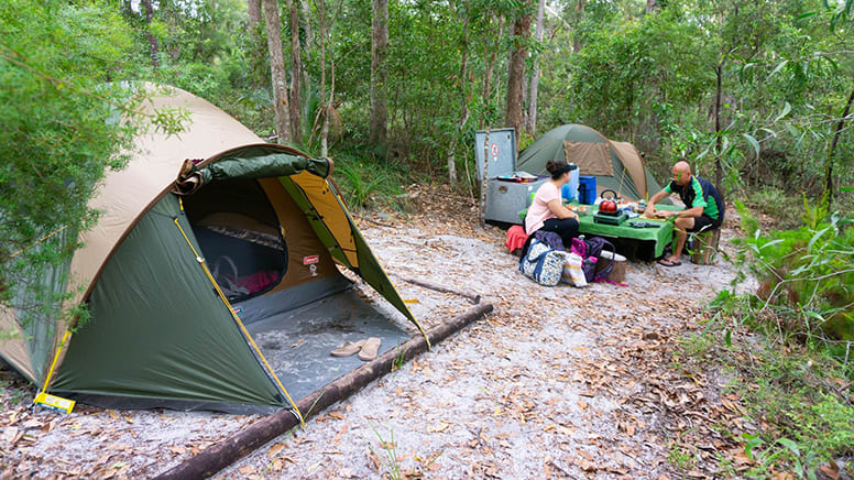 Fraser Island Lake McKenzie Overnight Hike Adventure - Hervey Bay - For 2