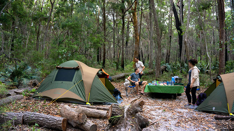 3 Day Fraser Island Southern Lakes Adventure Hike - Hervey Bay - For 2