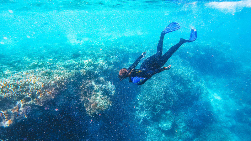 Great Barrier Reef Cruise with Snorkeling, Full Day - Whitsundays