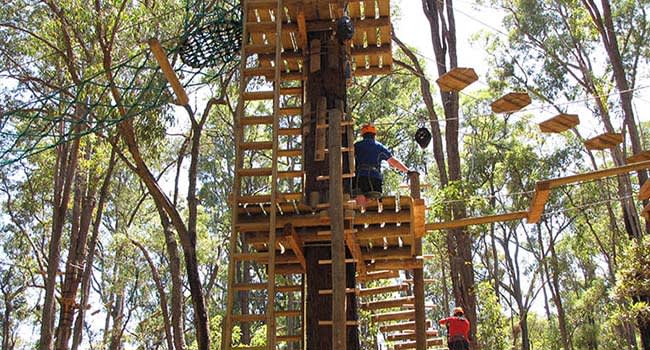 Treetop Ropes Course, Dwellingup