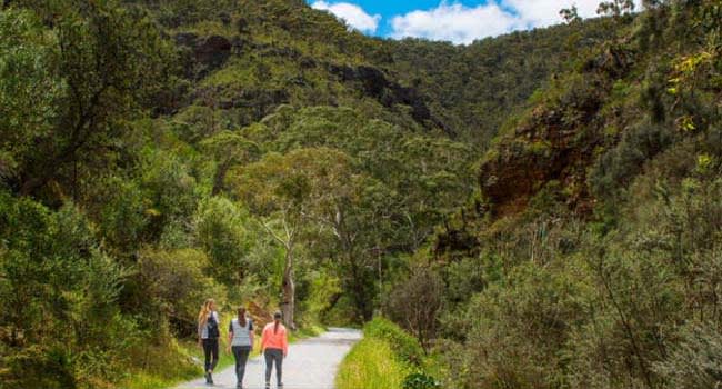 Morialta Wilderness and Wildlife Hike Tour