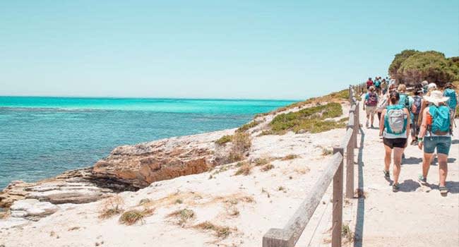 Rottnest Island Full Day Beaches Hike