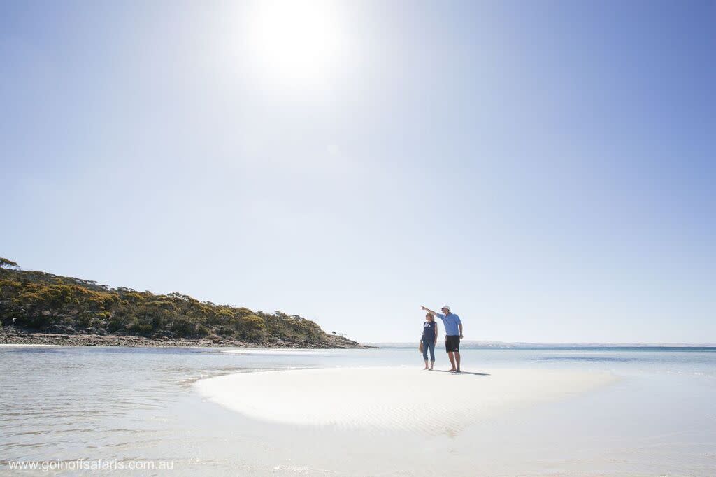 Port Lincoln Tour with Great White Shark Cage Dive, 2 Nights