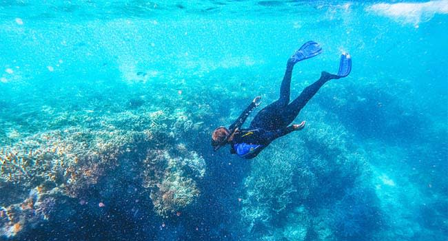 @TheSandyVan – Great Barrier Reef Cruise with Snorkelling, Whitsundays