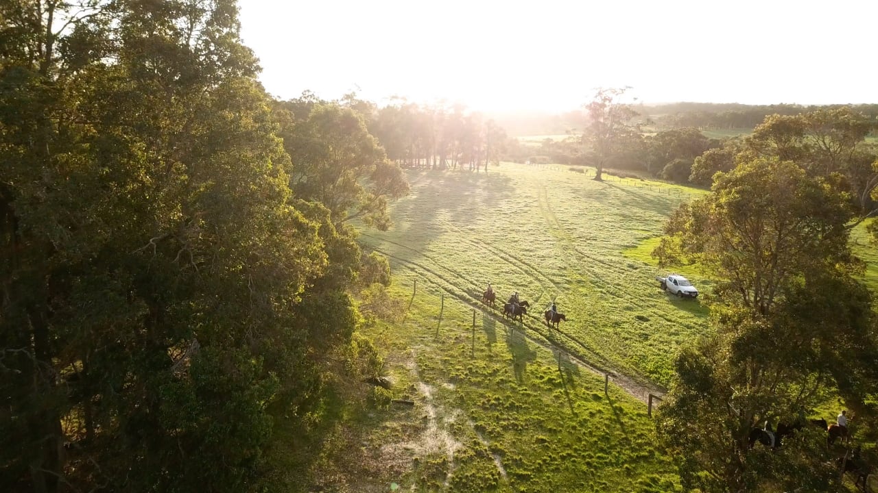 Experience 4: Horse Riding Adventure – Sydney