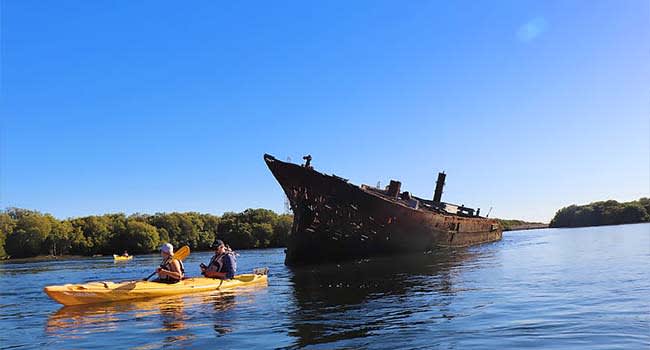 Adelaide: Dolphin Sanctuary & Ship Wreck Kayak