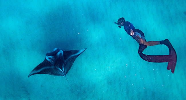 Exmouth: Swim with Manta Rays