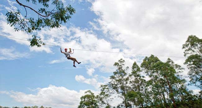 Coffs Harbour: High Ropes Climbing Course