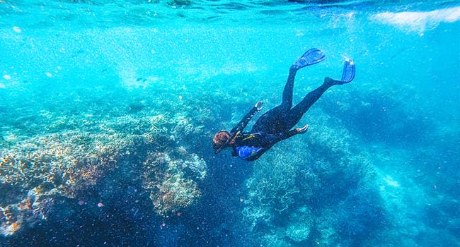 Swap laps at the pool for snorkelling