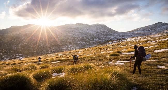 Mt Kosciuszko Summit, Sydney or Canberra