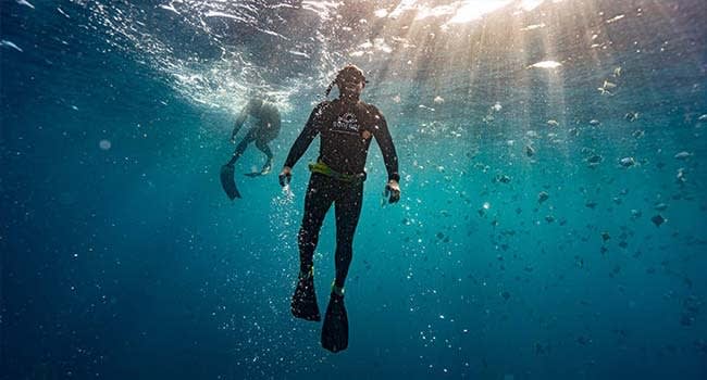 Full Freediving Course, Sunshine Coast