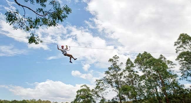 Treetop adventures