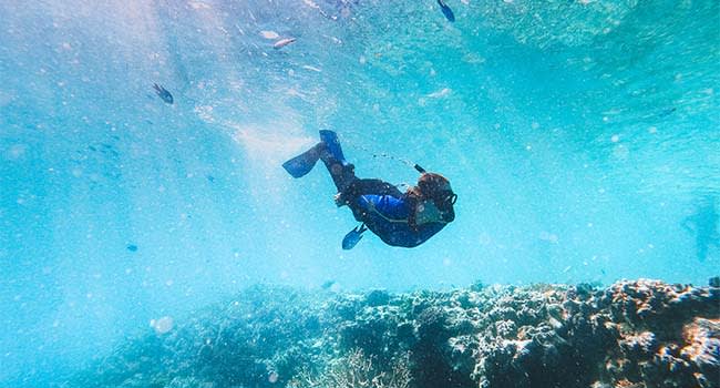 Snorkelling Snorkelling