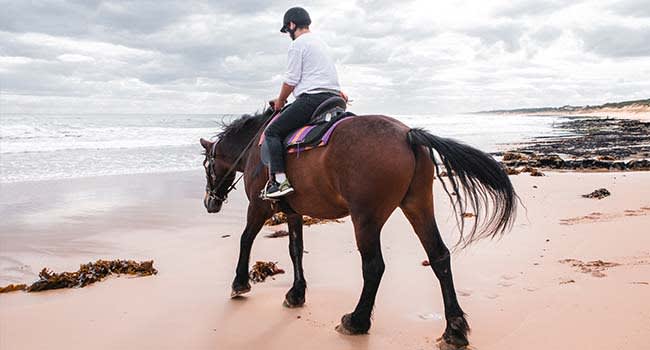 Horse Ride St Andrew's Beach, Mornington Peninsula