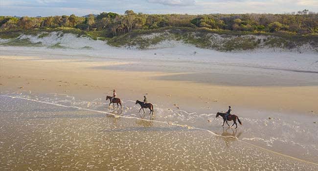 Horse riding