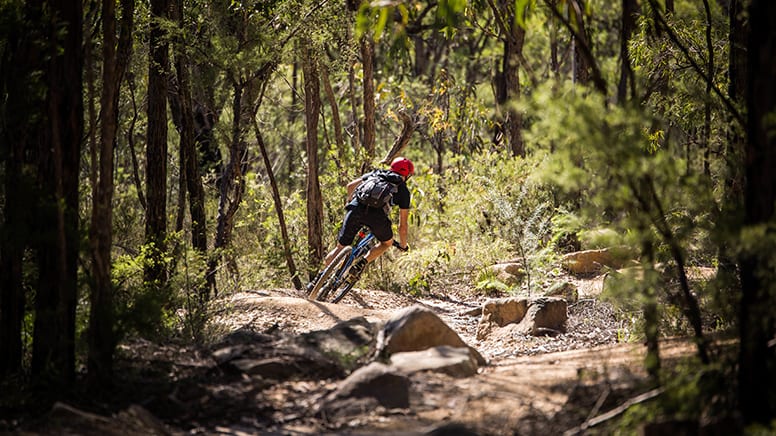 Blue Mountains MTB Bike Hire Experience - The Oaks Fire Trail and Single Track Package