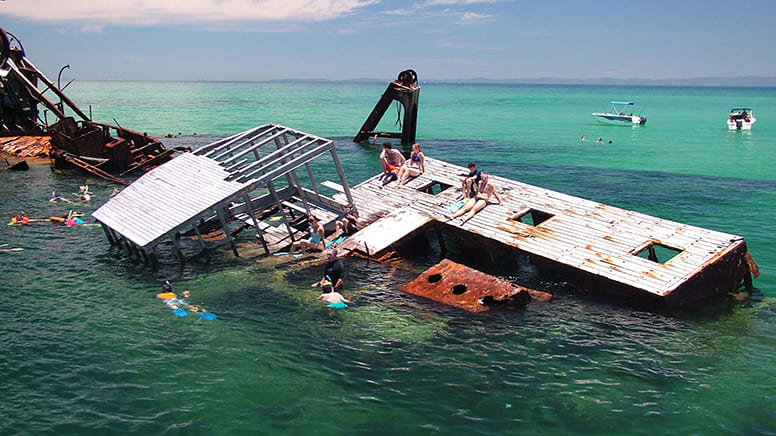 Dolphin Cruise with Tangalooma Wreck Snorkel Tour - Departs Brisbane