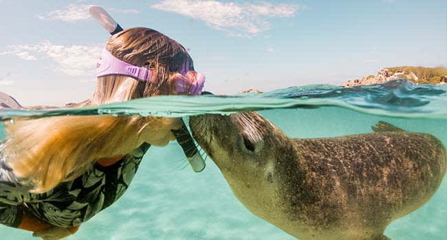 Snorkelling & Scuba diving